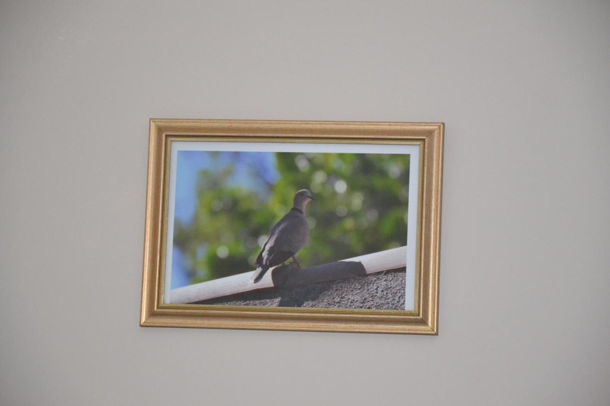 Le Colibri Bleu * Argeliers