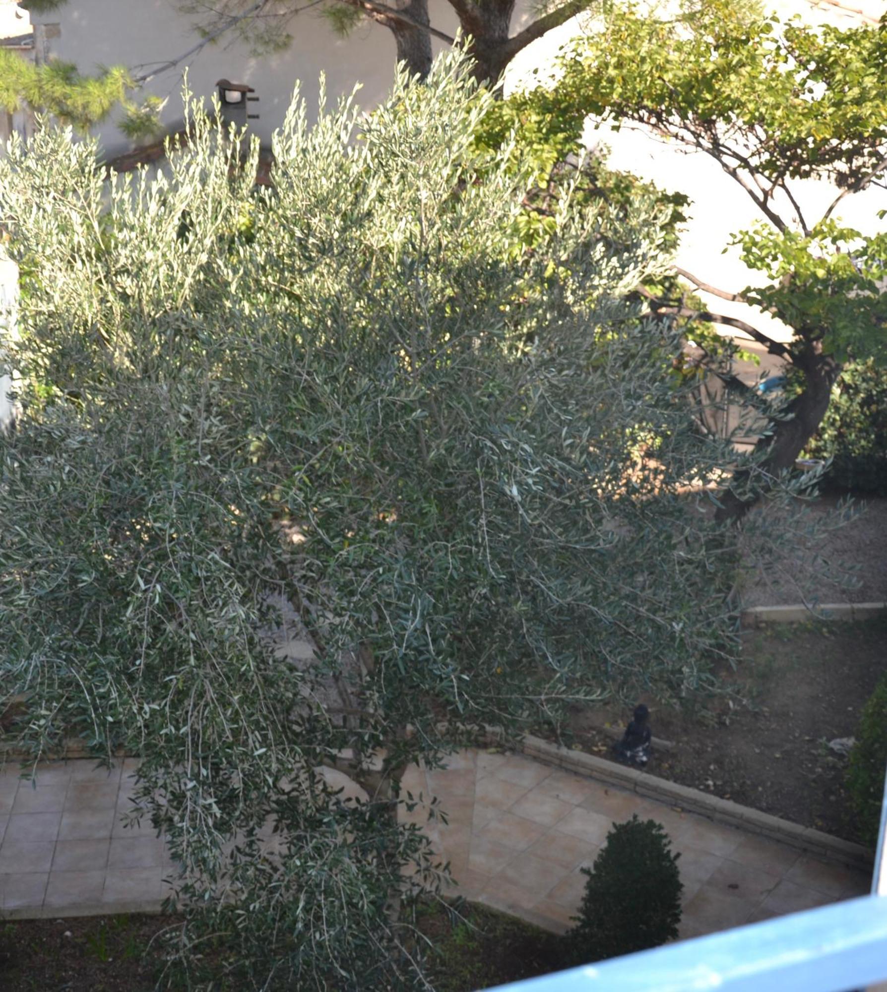 Le Colibri Bleu Bed & Breakfast Argeliers